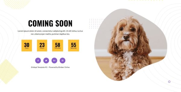 Adopt - Adoption Service & Charity - WordPress Templates - Image 14